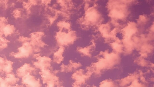 Colorful Cloudscape Lilac Pink Coral Skyline on Sunset Time Lapse. Purple Orange Sky and Many Puffy Fluffy Color Couds Timelapse. Beautiful Cloudy Skyscraper. Background View 4K Beauty Relax.