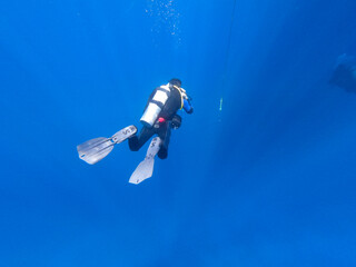 A scuba dive descending into the deep blue water of the Red Sea in Egypt