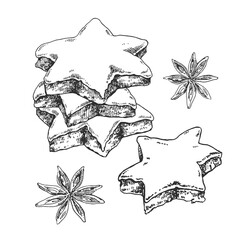 Hand drawn vector Zimtsterne illustration. Traditional Germany Christmas star cookies with almond and sugar. Sweet holiday dessert template for menu, ad, label design
