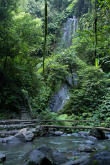 Walkway Across River and Beautiful Waterfall in Jungle - Bali, Indonesia