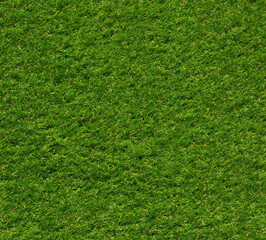 Obraz premium Artificial green grass field