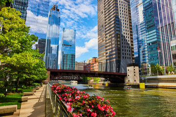 Stunning Chicago ship canal with flower beds and reflective skyscrapers of blue sky