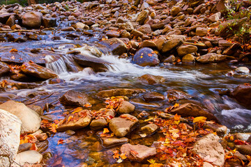 Fall leaves and small rocks along serene river creek low angle