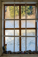 Frost flowers on the window . Eisblumen am Fenster