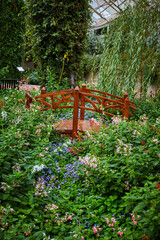 Obraz premium Small wood walking bridge over botanical gardens