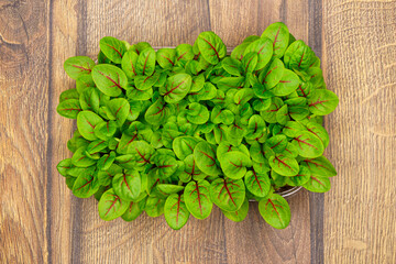 Green natural sorrel leaves, top view on wooden background