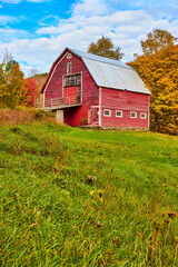 Large red vintage country barn in grassy fields with fall trees behind