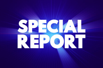 Special Report - short review-style articles that summarize a particular niche area, text concept background