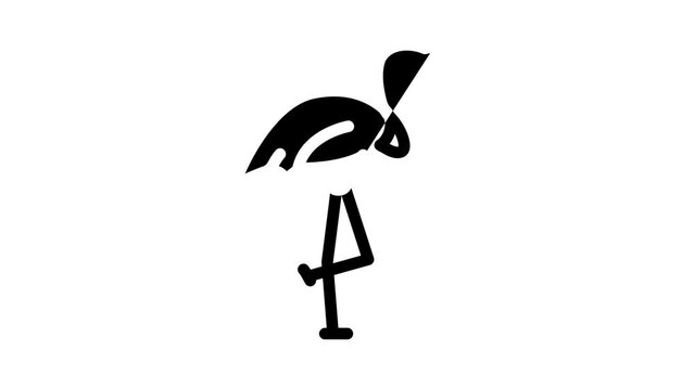 flamingo bird glyph icon animation