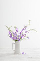 bluebell flowers in white jug on white background