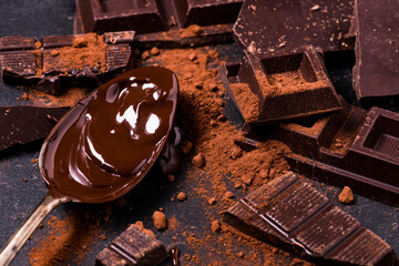 in the foreground, in a dark environment, cocoa powder, pieces of dark chocolate and melted chocolate