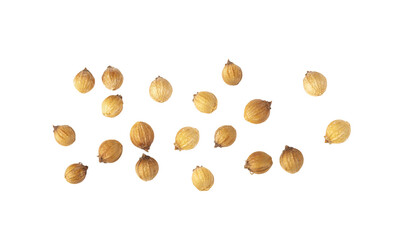 Coriander seeds isolated on transparent png