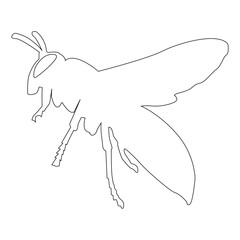 vector wasp logo icon