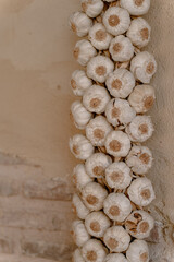 Bunch of garlic hanging on the wall