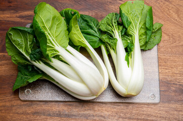 Young organic white bok choy or bak choi Chinese cabbage ready to cook