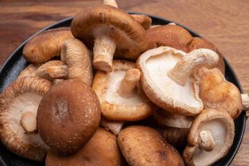 Fresh brown Lentinula edodes or shiitake edible mushrooms