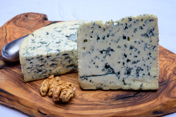 Cheese collection, piece of French blue cheese auvergne and fourme d'ambert