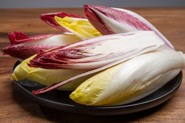 Fresh organic Belgian endivi or green and red chicory lettuce close up