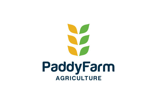 Paddy farm agriculture logo design
