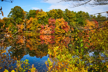 Fall forest in New York with lake reflecting the trees