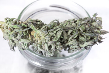 Recreational and Medical Weed Cannabis Bud Marijuana Trichome