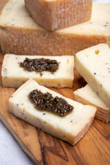 Italian cheese collection, yellow taleggio cheese with black truffles mushrooms