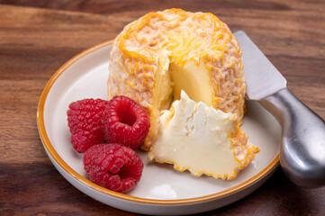 French Langres soft cows crumbly cheese with washed rind structure made in Champagne - Ardenne region