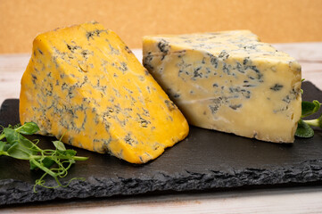 Cheese collection, English old shropshire blue and stilton blue cheeses