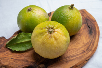 Fresh ripe bergamot orange fruits, fragrant citrus used in earl grey tea, medicine and spa treatments