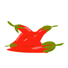 Red Chilli pepper illustration