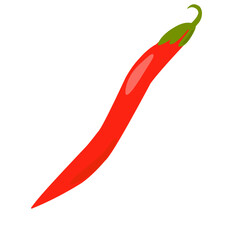 Red Chilli pepper illustration