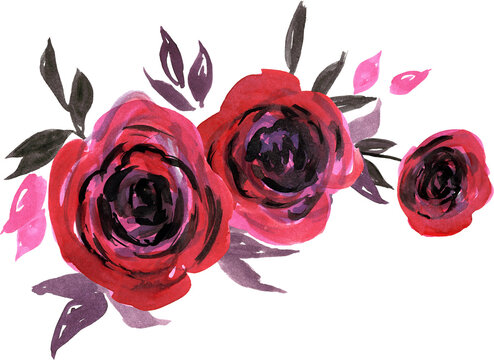 Dark pink watercolor hand painted roses