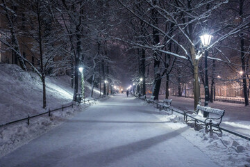 A snow-covered park in Krakow captured at night. Thanks to the large amount of snow, a fairy-tale atmosphere was created.