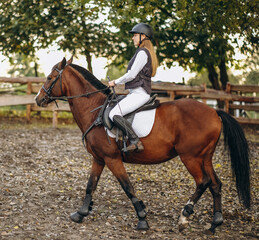 Obraz premium A young beautiful woman jockey is preparing for a show jumping competition. A woman rider rides a brown racehorse.