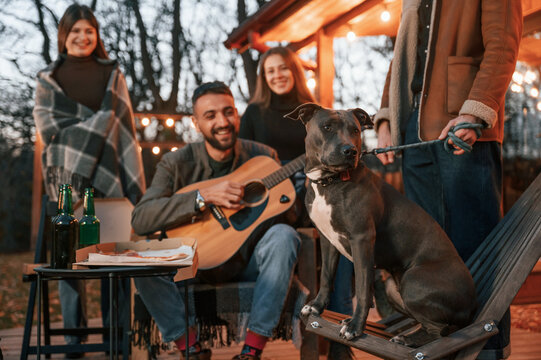 Man playing guitar, dog is sitting on the chair. Group of people is spending time together on the backyard at evening time