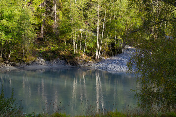 Reflections of trees in Rhine River at gorge of Anterior Rhine Valley on a sunny autumn day. Photo taken September 26th, 2022, Versam, Switzerland.