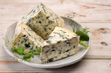 Cheese collection, piece of French blue cheese auvergne or fourme d'ambert