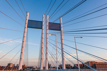 朝日に照らされた多摩川の是政橋（東京都府中市～稲城市）
