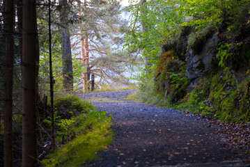 Fototapeta premium Beautiful scenic view of hiking trail at mountain village in the Swiss Alps with woodland on a blue cloudy autumn day. Photo taken September 26th, 2022, Versam, Safiental, Switzerland.