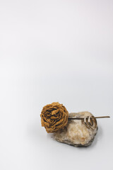 wedding rings on the stone