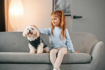 Cheerful little girl is with maltese dog indoors in domestic room on the sofa