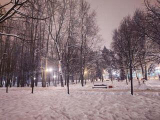 winter in the city