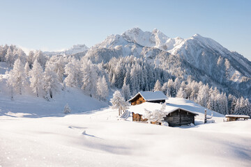 Fototapeta na wymiar Beautiful winter mountain landscape with snowcapped wooden hut