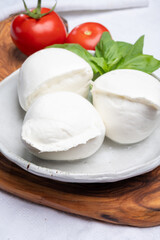 White balls of Italian soft cheese Mozzarella di Bufala Campana served with fresh green basil and red tomato