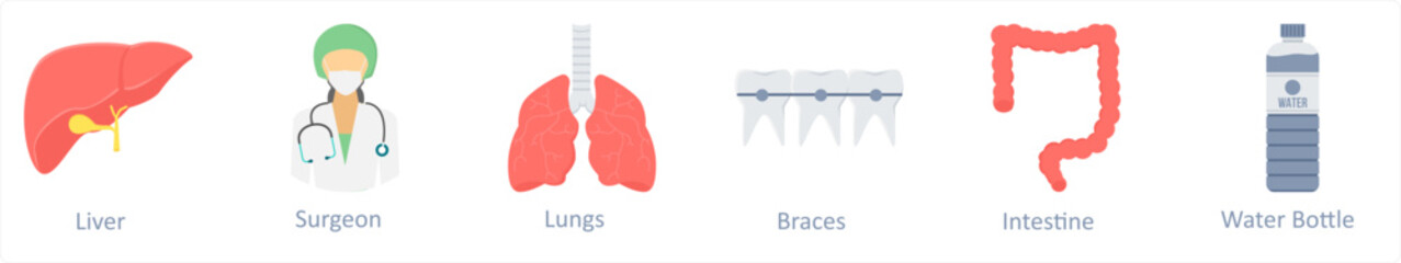 liver, surgeon, lungs