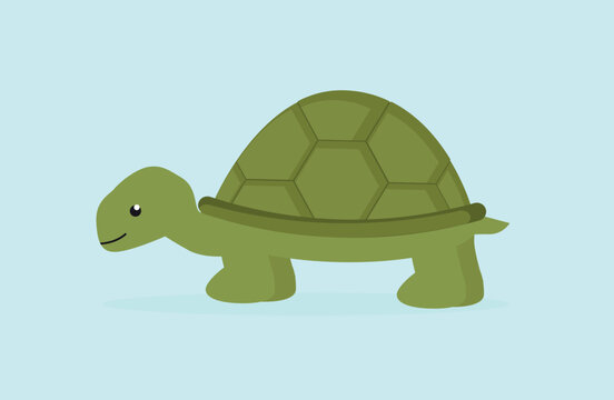 Turtle, side view - illustration, vector, cartoon