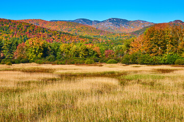 Fototapeta premium Golden fields with colorful fall mountains in background