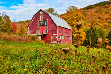Beautiful red country barn in grassy fields with hills of colorful yellow and red trees