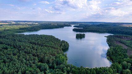 Fototapeta na wymiar Aerial view of the forest on a sunny summer day. top down the drone. Poland near the city of Barlinek