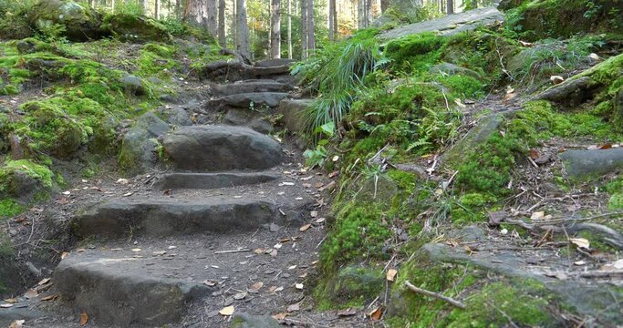 Massivtreppe Bilder Durchsuchen 740 Archivfotos, und